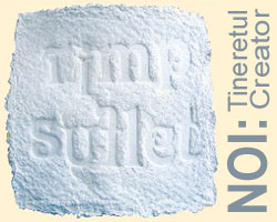 NOI: Tineretul Creator